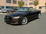 Audi A5 3.0 TDI  S-Line Quattro Automatik 19"Zoll - Audi A5 aus 2009: Cabrio