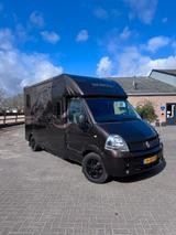 Renault masteRenault Master Pferdetransporter Automatikr