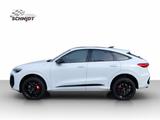 Audi SQ5 Sportback 3.0 quattro TFSI AHK StHz Shzg - Audi SQ5 Gebrauchtwagen in Stuttgart