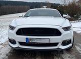 Ford Mustang 5.0 V8 GT 50 Years Edition - Ford Mustang: 50