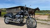 Harley-Davidson Softail FXST 1449ccm Top Zustand - HARLEY-DAVIDSON 2000 SOFTAIL
