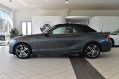 BMW 220 d Sport Line Cabrio~Automatik~Leder~Navi Pro