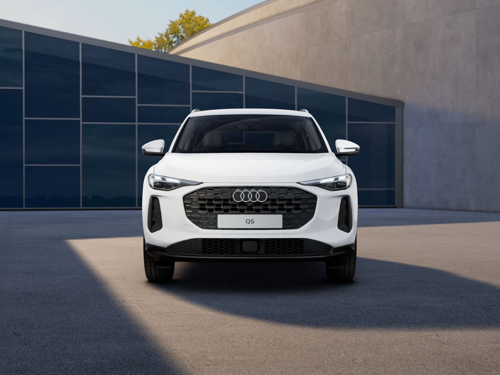 Audi Q5 - Bild 6