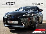 Lexus UX 300e Leder Klimasitze LED ACC Apple CarPlay A - Lexus Elektroautos
