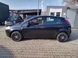 Fiat Grande Punto 1.2 8V Basis+2.HAND+TÜV/NEU+KLIMA - Fiat Grande Punto: Limousine