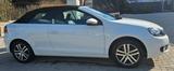 Volkswagen Golf 6 Cabrio  Nur 58.707 km  1. Hand  Top - Volkswagen Golf aus 2012: 7