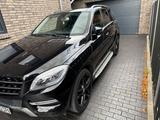 Mercedes-Benz ML 350 BlueTEC 4MATIC - - Mercedes-Benz ML 350 Gebrauchtwagen in Bremen
