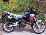 Suzuki DR 650 RSE