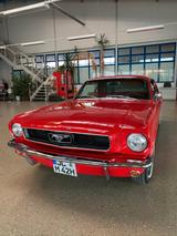 Ford Mustang - Ford Mustang in Magdeburg