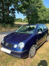 Volkswagen Polo 1.2 90000 KM | 1. HAND | TÜV NEU - Volkswagen Polo aus 2002: 9n