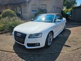 Audi A5 3.0 TDI (DPF) S tronic quattro Cabriolet - - Audi A5 aus 2009: Cabrio