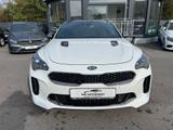 Kia Stinger 3.3 V6 T-GDI  4WD GT - weiße Kia Stinger
