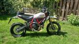 Ducati Scrambler Desert Sled - DUCATI SCRAMBLER DESERT SLED