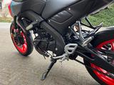Yamaha MT 125 (von Tochter gefahren) - Yamaha Motorräder in Bielefeld