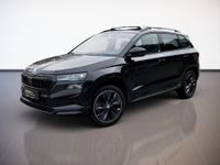 Skoda Karoq - Vorschau Bild 2