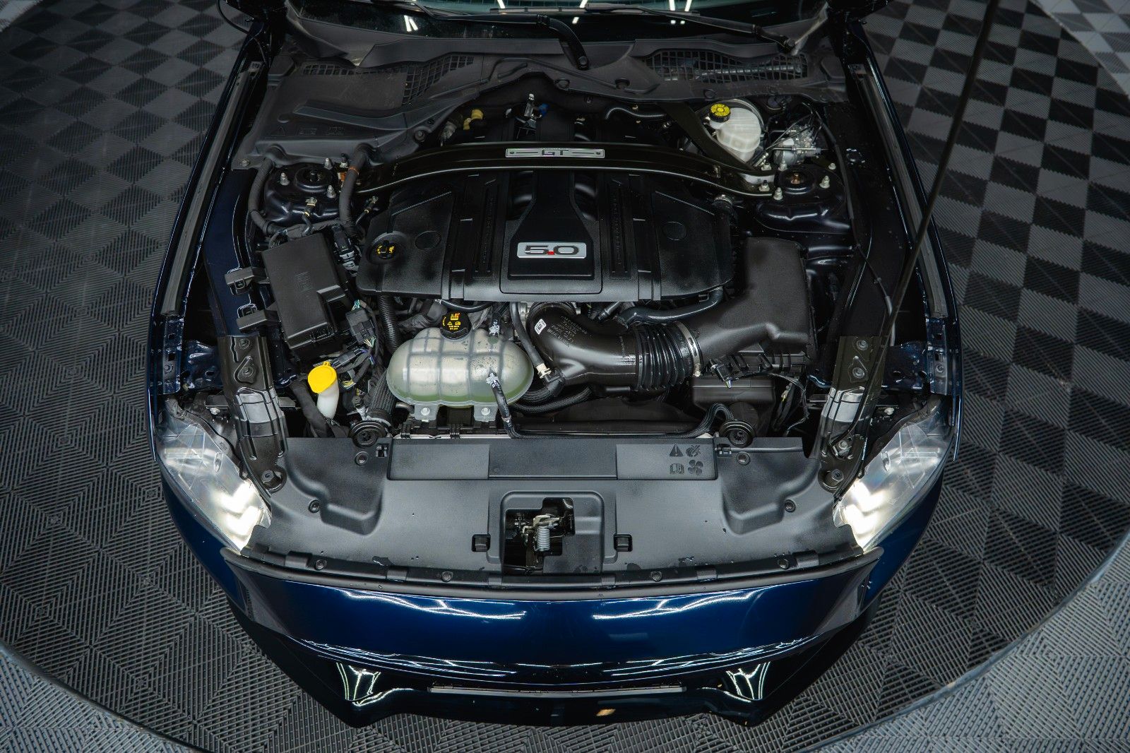 Fahrzeugabbildung Ford Mustang Shelby GT 500 5.0 V8 PREMIUM Perf. *ACC*