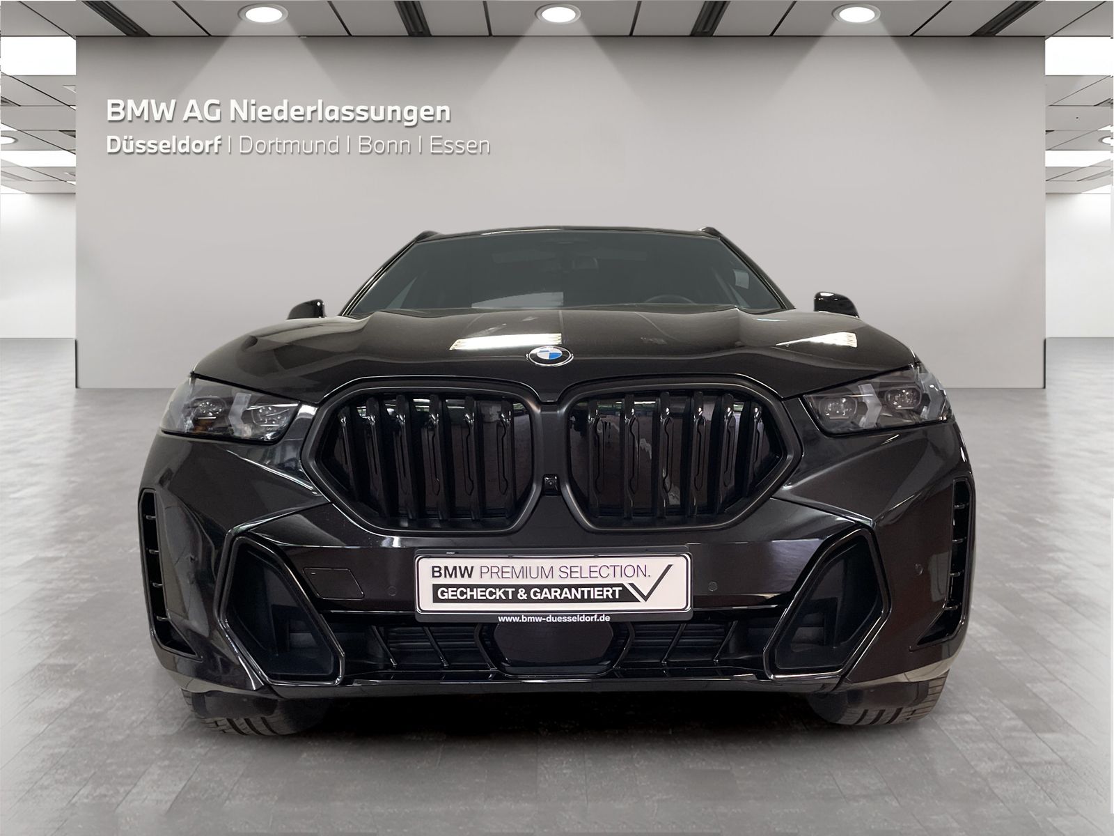 BMW X6 - Bild 8