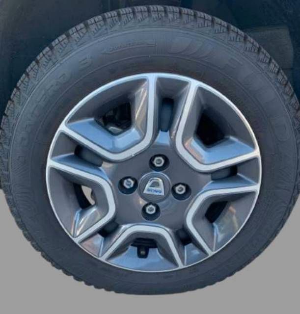 Fahrzeugabbildung Dacia Spring Business