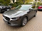 Mazda CX-30 SKYAKTIV-G 140 FWD Exclusive-Line - Mazda CX-30 Exclusive-Line mit Benzin-Antrieb