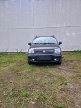 Fiat Panda - Fiat Panda Gebrauchtwagen in Essen