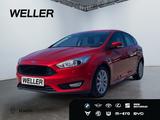 Ford Focus 1.5 EcoBoost Titanium *Xenon*CAM*hzb Front - gebrauchte Ford Focus aus dem Jahr 2015
