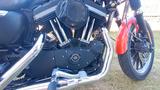 Harley-Davidson Sportster - Harley-Davidson Motorräder bis 10.000 Euro