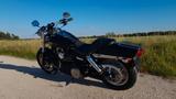 Harley-Davidson Fat Bob Dyna - HARLEY-DAVIDSON 2010 FAT BOB