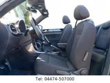 Volkswagen Beetle Cabriolet Sound 1.4 TSI 150PS Xen Navi - gebrauchte VW Beetle aus dem Jahr 2018