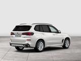 BMW X5 xDrive40d DAPROF,PAPROF,AHK,Komfsitz,IonicGLO - BMW X5: 4.4