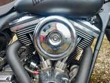 Harley-Davidson Electra Glide Ultra Classic - HARLEY-DAVIDSON 1996