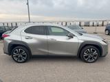 Lexus UX 250h - 2022 - Accident Free  - gebrauchte Lexus Pickups
