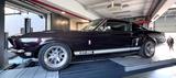 Ford Mustang GT350 Shelby Fastback  - Ford Mustang aus 1968: Fastback