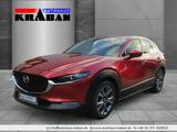 Mazda CX-30 179PS Selection AWD 360°, Matrix-LED - Mazda Gebrauchtwagen in Chemnitz