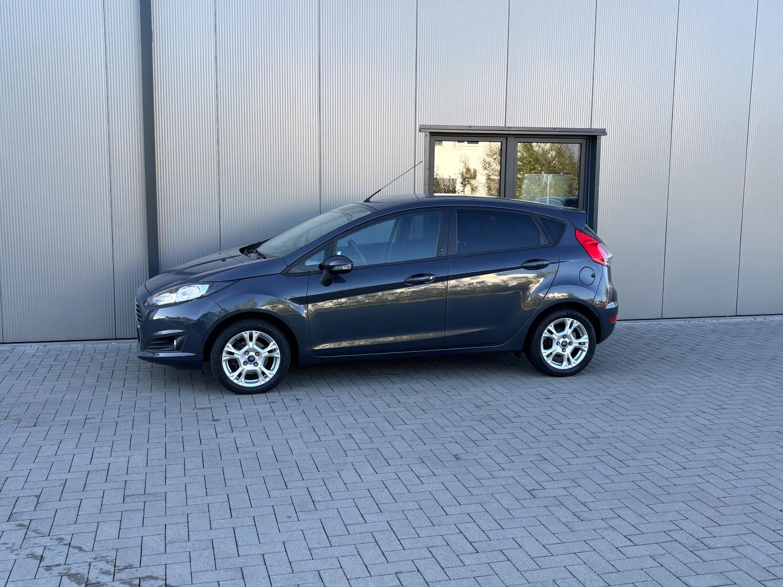 Ford Fiesta 2013 — photo 12