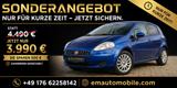 Fiat Punto - Fiat Punto Gebrauchtwagen in Hamburg