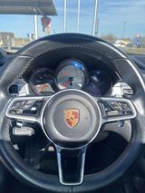 Porsche Macan Sport Diesel PANO/BOSE - Porsche: Beige, Leder