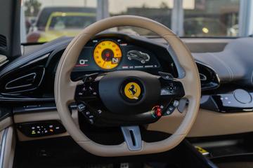 صورة 8 لـ 2023 Ferrari PUROSANGUE