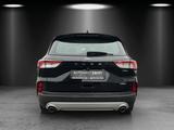 Ford Kuga 2.5 PHEV Titanium Aut./ACC/KAMERA/NAVI/SHZ/ - gebrauchte Ford SUV & Geländewagen
