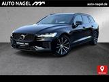 Volvo V60 Recharge T6 Plus Dark Sportsitze| - Volvo V60: Sport