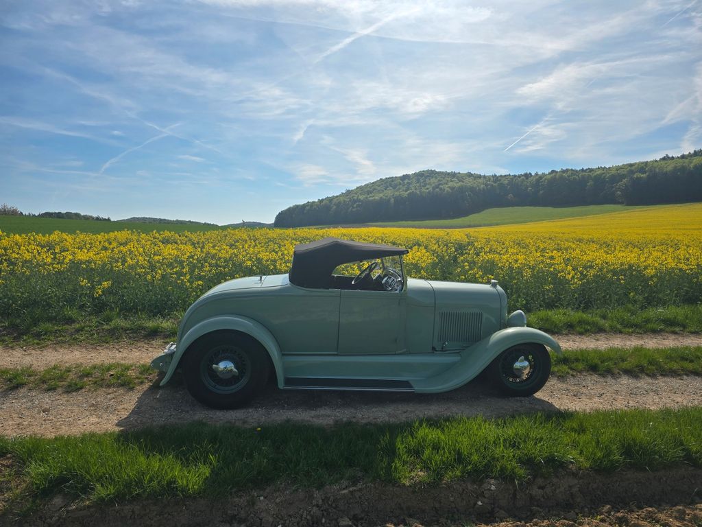 Ford Andere