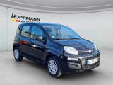 Fiat Panda 1.0 Mild-Hybrid *Klima*PDC*5sitzer* - Fiat Panda: Sitzer