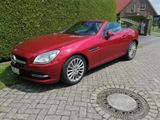 Mercedes-Benz MB SLK 250 CDI Kabrio Cabrio ca 84500km EZ... - Mercedes-Benz SLK 250 mit Diesel-Antrieb: Cabrio