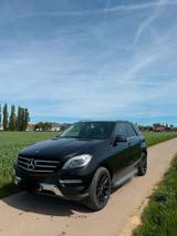 Mercedes-Benz Mercedes Benz ML250 - Mercedes-Benz ML-Klasse Gebrauchtwagen in Stuttgart