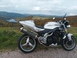 Triumph Speed Triple - Angebote entsprechen deinen Suchkriterien