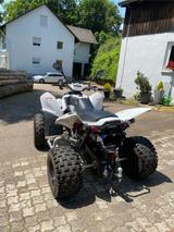 Adly Hurricane  - ADLY QUAD