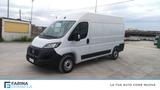 Fiat FIAT Ducato Series 9 Furgone Lastrato 35q Mh2 14 - Fiat Ducato Jahreswagen