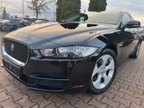 Jaguar XE Prestige -AUTOMATIK - NAVI - IPOD - Jaguar XE Prestige mit Benzin-Antrieb