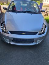 Ford Streetka 1.6 - Kartfeeling und Coolness-Faktor - : Kart