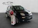Fiat Panda 1.3 MJT 75cv 4X4 Trekking NEOPATENTAT - Fiat Panda TREKKING mit Diesel-Antrieb