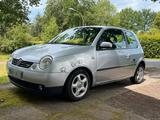 Volkswagen VW Lupo GT 1.4 TDI 75PS Schalter - Volkswagen Lupo: 1.7